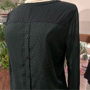 Sheer Sleeved T-shirt Blouse Back Buttons Green & Black Skies Are Blue Women M P